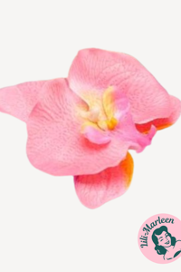 Stor Orkide hårclips, lyserød